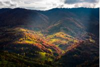 village in a valley down the hill among forest. beautiful autumn scenery in mountains.