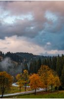 winding road through forest in autumn evening with gorgeous cloudy sky. beautiful nature scenery
