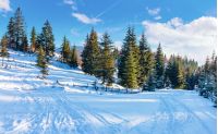 winter countryside with spruce forest. snow covered road in mountains. beautiful nature scenery on a bright day