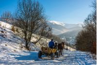 man riding cart with twoo horses down the hill to village in snowy mountains