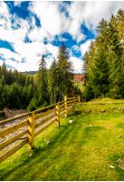 wooden fence in forest camping place. beautiful weather in autumn mountains