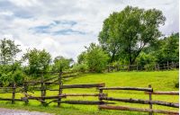 wooden fence on grassy rural field with tree. lovely springtime scenery 