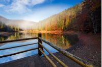 wooden pierce fence on a lake in fog. beautiful autumnal scenery in forest in mountains