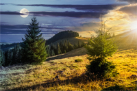 two fir trees on hillside of mountain range with coniferous forest and meadow. composite image day and night with full moon