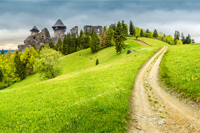 composite mountain landscape. curve path to abandoned ruins of ancient fortress through green meadow on mountain hillside with forest