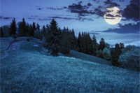 calm summer landscape in mountains. awesome coniferous forest near meadow  on hillside under epic sky with clouds at night in full moon light