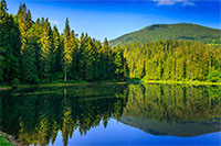 landscape by the lake in the early morning. coniferous forest near the lake and the forest mountain