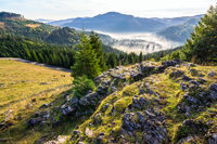 view from a rocky cliff to full of fog valley with conifer forest in high mountains of Apuseni Natural Park in Romania